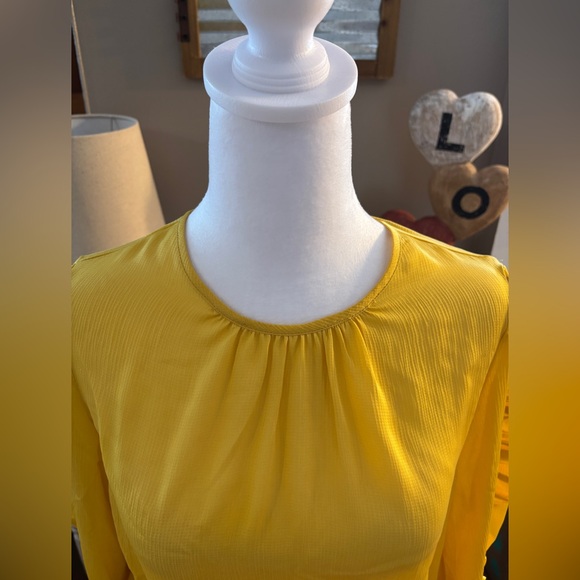 NWT Ann Taylor Ruffle Sleeve Cinched Hem Top - Picture 4 of 11